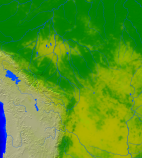 Bolivien Vegetation 2150x2400